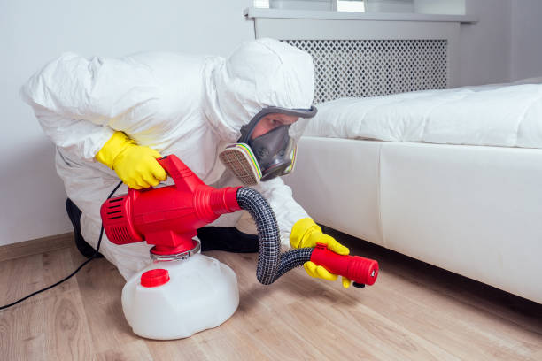 Best Flea Control Services  in Ancient Oaks, PA